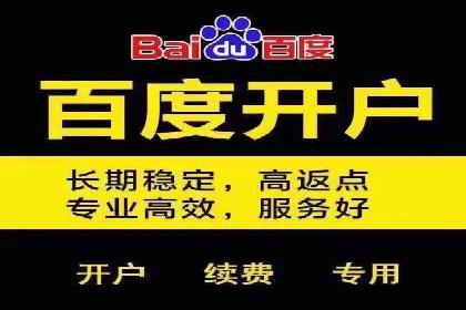 百度SEM竞价推广的关键词选择与优化：一则成功的广告案例